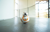 BB-8 App Controlled Robot